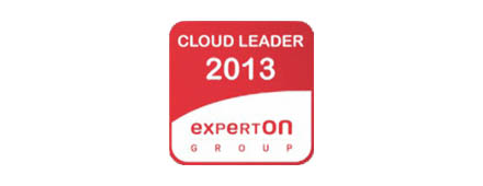 Cloud Leader 2013