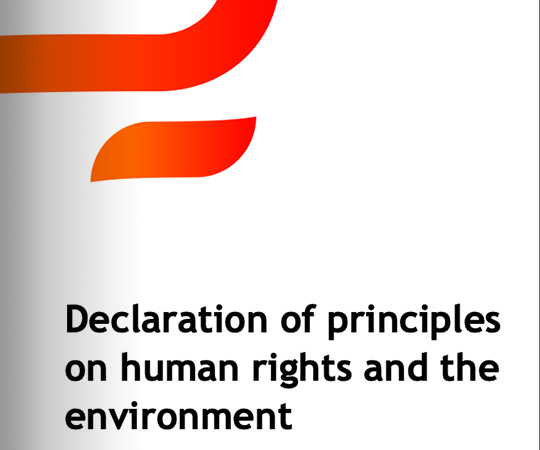 Declaration of principle