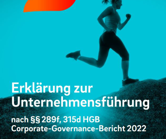 Erklärung zur Unter­nehmens­führung