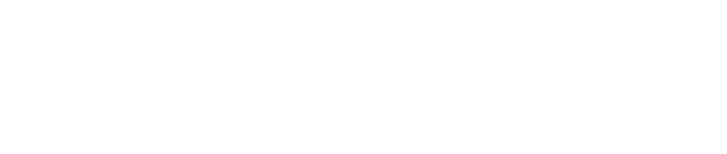 steinbeis Logo