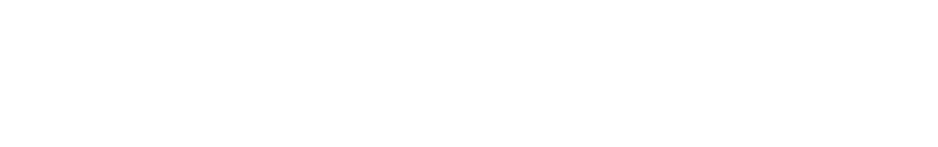 q.beyond Consulting Solutions