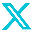 x-Icon