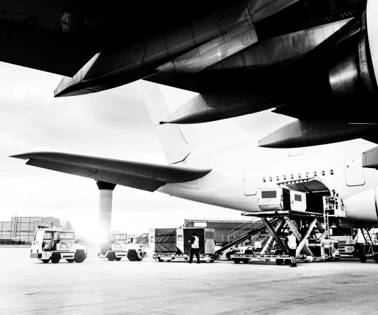 IT- und Logistik-Expertise