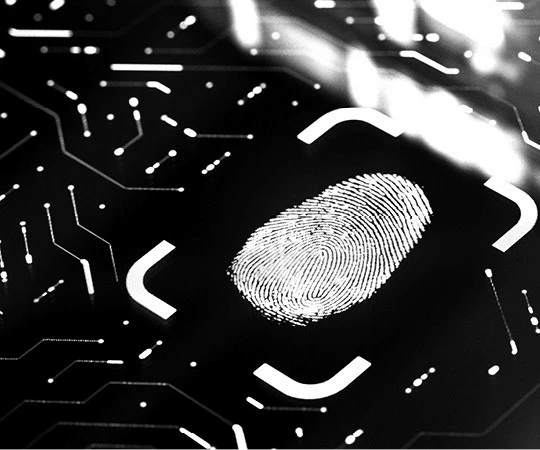 Holistic security concept